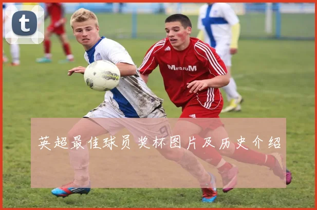 英超最佳球员奖杯图片及历史介绍
