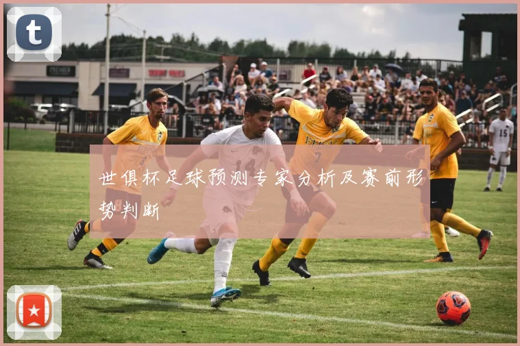 世俱杯足球预测专家分析及赛前形势判断
